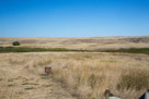 One hundred and thirty six years ago along this innocent looking little valley of snake creek the sad events played out.