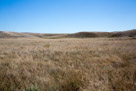 The tepees of the Nez Perce were spread out across this little plain.