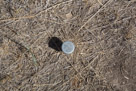 Here is location of the Tepee of one of the Nez Perce chiefs 'John Dog'. An interesting aspect of this historical site is that many of the participants in the battle returned years later when the historical site was to be established and were able to identify many of the specific locations of events and people throught the battle.