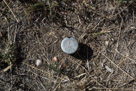Chief Coo-Sou-Yeen's tepee site.  The small stones may very well be offerings. Possibly from the Nez Perce's homeland in Washington State.