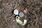 Never Go Hunt's tepee site.