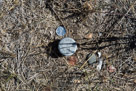 Too-Nah-Hon's tepee site.