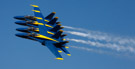 And another shot I like. The tails are lined up real nice here.