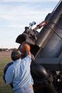 Loading the pumpkin.  They grow pumpkins specially bred  for the purpose. The pumpkin is seated firmly in a cradle in the back of the barrel.  The pumpkin has to be just the right size and must be oriented with the stem facing forward for best results. Still many pumpkins disintegrate on firing.