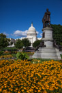 Another shot with the Black-eyed Susans.