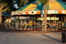 The Merry-go-round on the mall in front of the Smithsonian Castle.