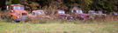 Truck Graveyard, Columbia Virginia