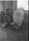 Age 7 Years, 8 months, 2 days.
January 21, 1950. 
Pig is Frank. We had had him 6 months and 1 day.  Frank was doing just fine. Frank liked to have his neck rubbed.