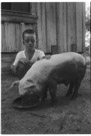 Age 7 years, 4 Months, 1 day
September 20, 1949.
Pig's name is Frank. Our neighbor to the west, Frank Walston gave us the pig as it was the runt of the litter. Don't think he fully appreciated the honor of having the pig named after him. And there was a certain resemblance also. Frank is my all time favorite pet. Had a lot of personality.  And attitude.