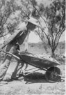 Aged 15 years, 1 month, 22 days.
July 11, 1957.
Probably working with dad to build the shed behind the house.