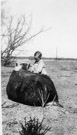 Aged 3 years, 8 months, 26 days.
January 14, 1946,
With one or Roy Spinks' cows. Very pregnant cows. Roy's stock were all very tame. Many would let me touch them and pet them> Cow has here ears cocked back. Probably thinks this is funny. 'Those humans are so silly