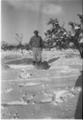 Novemberf 24, 1957.
Dad with a pet goat. We had about 10 inches of snow the night before if I remember correctly. Town was shut down. Goat enjoyed the snow. It melted in a day.