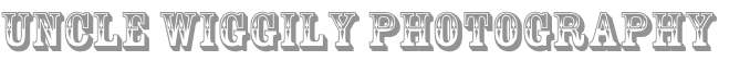 Black Dragon Canyon Petroglyph Panels