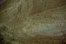 Under the alcove there a number of 'tally' mark type pictographs some of which are augmented by petroglyphs.  A few of these have been 'enhanced' by chalk outlines as well.   I present these with little comment.  I think it is clear some sort of bookkeeping was being performed here.  It appears to have been color coded in some case. They didn't provide a legend. Or maybe they did.