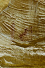 And the Black Dragon himself. Many of the pictographs at this site have been outlined with white chalk.  Modern rock art etiquette and sensibilities  strongly discourage this. In fact it is illegal.  And now in the age of digital photography it is easily possible to take a good digital photograph, put it in photoshop and add the outline there in an overlay. Or many other ways in Photoshop.  I don't know if it is possible to remove the chalk without damaging the pictographs.