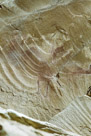 And the Dragon himself.  The chalk really may be misleading us here. When I look just at the areas of pigment in the current image I am not sure at all the Dragon. Maybe in the past there was more pigment and it has weathered away.