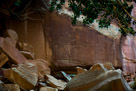 OK. A full Lightroom hit on the previous picture. Better??