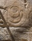 Shadows are from a protective chain link fence. This shield appears to have a geometric pattern and is fringed. The circular pattern at the top may have been of special significance. There appears to be a 'handle' of some sort at the top of the shield.