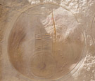 A large fringed shield with a distinctive geometric design. Circles top and bottom connected by parallel lines. Are the horizontal marks coup count? Appears to have been originally painted.