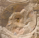 A veru distinctive zoomorph shield. Probably indicates bear paws.