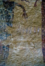 Now this little noticed feature between the main figures. There are seven of these little 'water bug' type figures. All appear to have a head that has three 'feathers' or ‘fingers’ protruding. The bodies appear to be intentionally and originally painted white. Below each are 'streamers' that may signify motion??.   And note that both hands of the main figures are approximately anatomically correct with five fingers on each hand and elbows indicated.