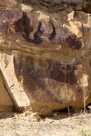 Moving all along the cliff face this is the next large panel. Two creatures with elaborate head treatment. the one at the left with hands of three fingers each.  This figure has short legs and feet are indicated. The one at the right is accompanied by a stick figure with elaborate head treatment. The stick fighure has two arms with fingers indicated. The main figure to the left has ornamentation descending from his 'horns'. Note the petroglypy rabbit at the upper left. And there is the figure at the upper center that is roughly executed. Close examination of the lower part of the stone face reveals a number of tool marks that appear to be old.  As with many of these sites, an on site artist might be able to recover some of the glyphs before they are lost.