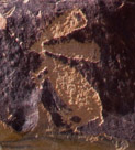 Detail of the rabbit? from the previous image.