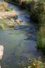 Owl Creek(I think) flowing peacefully along in front of the cliff.