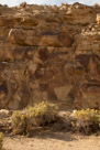 Legend Rock Petroglyphs
