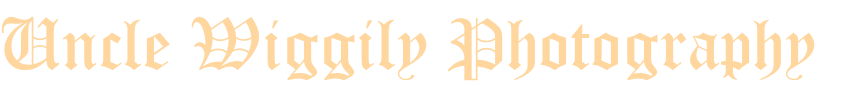 Three Kings Panel