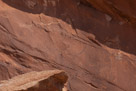 All the pictures in this album are currently from just one cliff face by a wash passing through Comb Ridge on the Navajo Reservation. This picture is of the left half and shows a very repatinated panel.