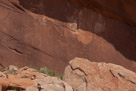 Monument Valley Tribal Park Petroglyphs