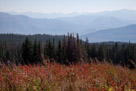 Taken from the Beartooth Highway, this picture is looking south more or less toward Cody Wyoming.