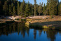 A quiet section of the Gibbon River near the Norris geyser basin.