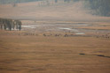 Lamar Valley