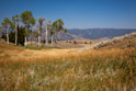 View along Black Tail Plateau Road.