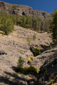 View up the south face of mount Washburn from the Loop Road