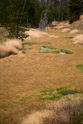 Grass/moss growing in Obsidian Creek.  There is a gentle flow of watter under all of that. Note how level the surface is.