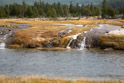 A hot spring near Grand Prismatic Spring overflows into the Firehole River. The park road is just behind the downed trees. Timed the picture no avoid cars passing in the background