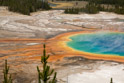 Grand Prismatic Spring. I climbed well up a hill overlooking the spring to take this picture. I took many other pictures of the spring using various camera settings and with and without polarizing filters. The day was overcast which was both good and bad. It gave good color saturation but the sun would have really popped the colors and made the water sparkle.