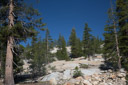  Yosemite  National Park 