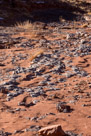 Patterns in the desert surface.