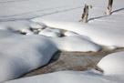 Snow pillows shaped by the runoff of Silex hot spring.
