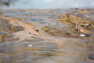 Detail of that runoff.