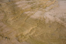 I never tire of examing these abstract runoff patterns.