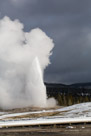 Old Faithful erupting against a leaden sky.