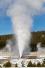 This is beehive geyser erupting.  I was fortunate to get pictures of this geyser. It erupts only two or three times a day. It is unique in  errupting from a very well defined cone. It erupts for many minutes expelling thousands of gallons of boiling water.