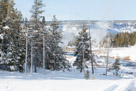 Looking north from Castle geyser. Firehole river is in the midground. Most of the steam is from the runoff of hot springs and smaller geysers.