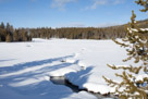 Runoff from a hot spring on its way to the Firehole river.