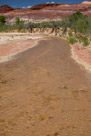 A walk up the Pariah River